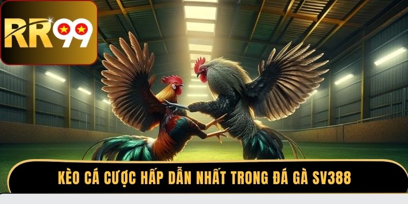 Kèo cá cược hấp dẫn nhất trong đá gà SV388